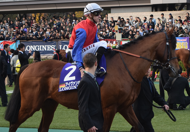 イトウ陣営が日本馬をレベル低いと一蹴